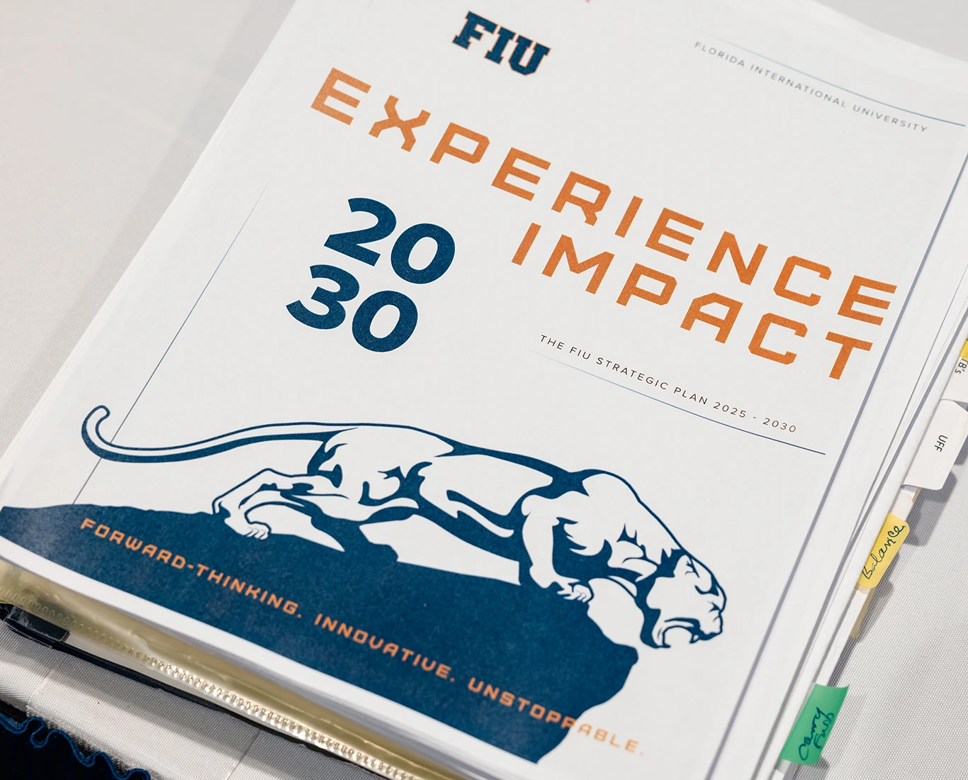 Experience Impact 2030 binder with sticky notes