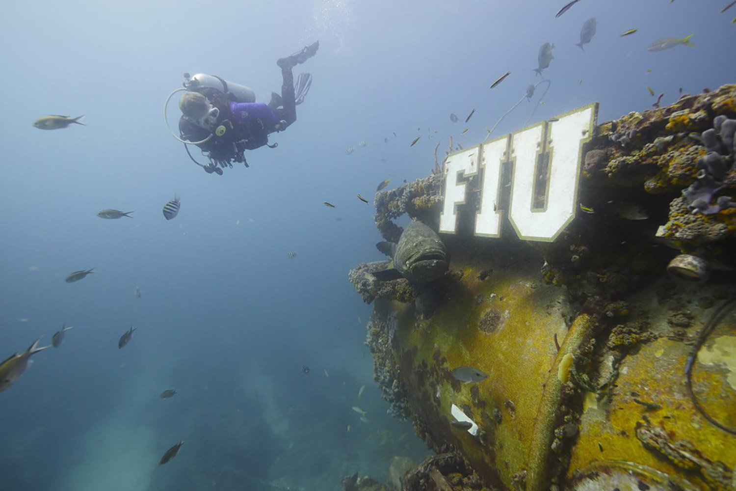 Underwater diver near FIU Aquarius Reef Base